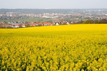Frühling