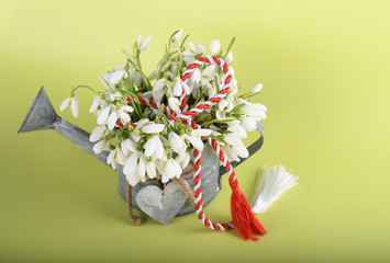 Spring time flowers like snowdrops, hyacinth and roses, isolated on yellow simple background, spring symbol and traditional romanian "Martisor", "1 martie" festive on 1st of march