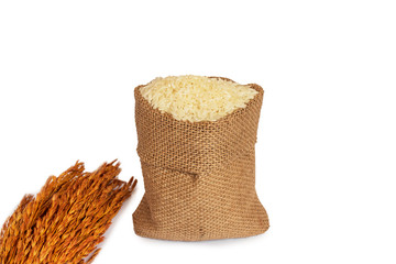 rice in burlap sack bag  on white background