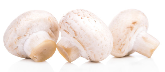 Mushroom champignon healthy fresh vegetable from nature isolated on a white background.