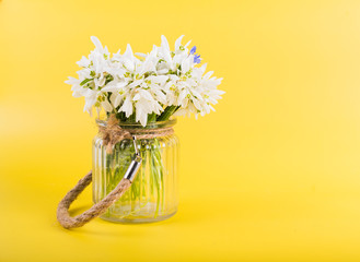 Spring time flowers like snowdrops, hyacinth and roses, isolated on yellow simple background, spring symbol and traditional romanian 