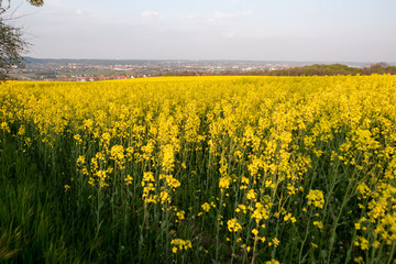 Frühling