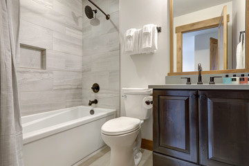 Natural new classic bathroom interior with new glass and ceramic tiles walk in tub for shower and grey tiles and dark wood vanity.