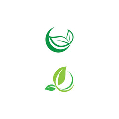 Fototapeta premium Leaf Logo Template vector symbol