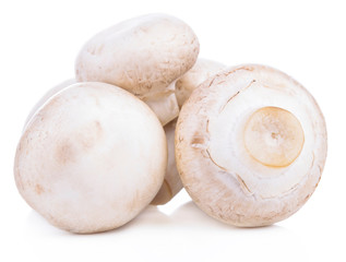 Mushroom champignon isolated on white background