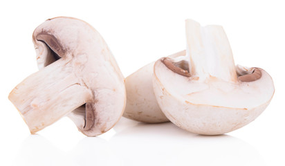 Mushroom champignon isolated on white background