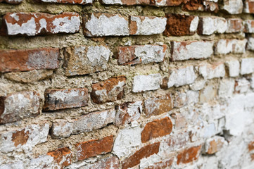 Bela Red Old brick wall. brick background
