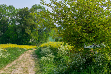 chemin
