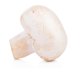 Mushroom champignon healthy fresh vegetable from nature isolated on a white background.