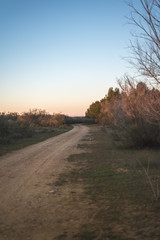 sunset on the road