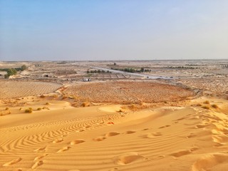 sand dune in desert of Algeria