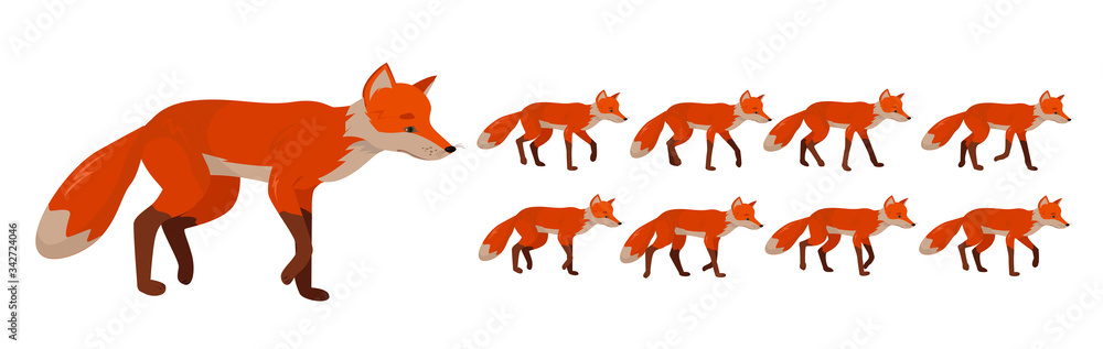 Wall mural tricky red fox, set of frames or sequences for character animation.