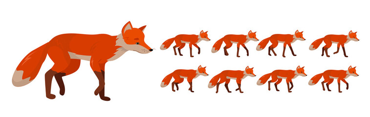 Tricky red fox, set of frames or sequences for character animation.