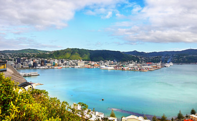 Wellington City Beautiful Harbor New Zealand
