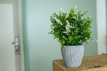 white vase with green plant and flowers
