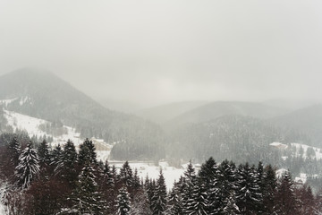 The view from the hill to the snowy taiga