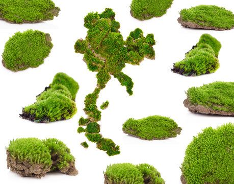 Green moss set, Thailand map symbol, isolated on white background Nature Macro Small vegetation