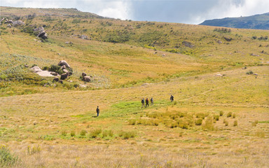 Fototapeta na wymiar Three hikers, with hiking guide in front and behind them walk over grass covered hills, typical landscape seen during trek to Pic Boby in Andringitra national park, Madagascar