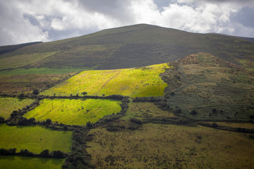 Ladera de montaña con parcelas en Irlanda