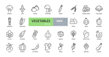 Vector vegetables icons. Editable Stroke. Salad vegetable, bean, cabbage, tomato, cucumber, avocado. Artichoke mushrooms beetroot cauliflower corn onion garlic radish celery ginger