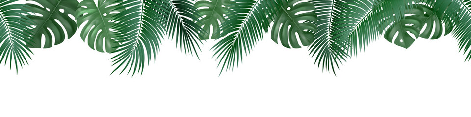 Vector decorative seamless pattern with realistic palm and monstera leaves on white background