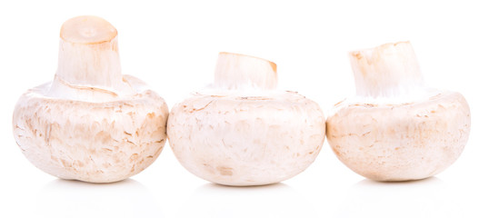 Mushroom champignon healthy fresh vegetable from nature isolated on a white background.