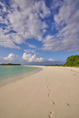Fototapeta na wymiar Desert Island in Maldives