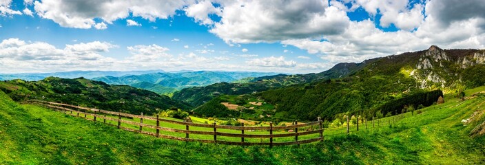 National park Tara in spring time.