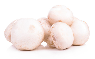Mushroom champignon healthy fresh vegetable from nature isolated on a white background.