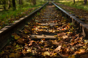 A old narrow gauge railway. A canyon Guamka,  Russia, Krasnodar. A forest, a creek and rock at autumn.