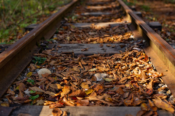 A old narrow gauge railway. A canyon Guamka,  Russia, Krasnodar. A forest, a creek and rock at...