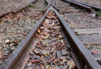 A old narrow gauge railway. A canyon Guamka,  Russia, Krasnodar. A forest, a creek and rock at...