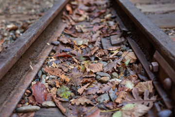 A old narrow gauge railway. A canyon Guamka,  Russia, Krasnodar. A forest, a creek and rock at...