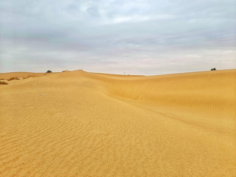 sand dune in desert of Algeria © younes39