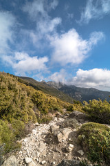 mountains and trees elba island