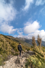 Naklejka premium mountains and trees elba island