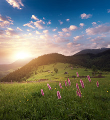 Carpathian mountains idyllic sunset landscape. Rural countryside in Ukraine