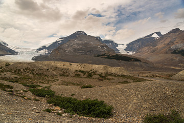 columbia Icefield, Jasper National Park, Alberta, Canada
