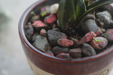 vas with a gravel stone