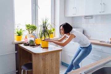 Beautiful smiling girl with braces replanting a indoor flower. Wearing a white T-shirt and blue...