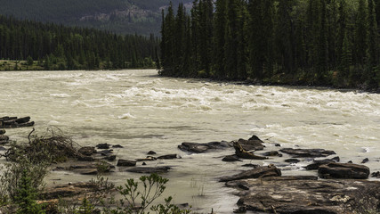river athabaska, Jasper National Park, Alberta, Canada