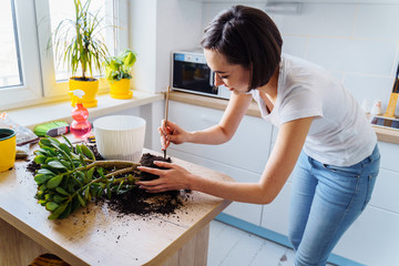 Beautiful smiling girl with braces replanting a indoor flower. Wearing a white T-shirt and blue...