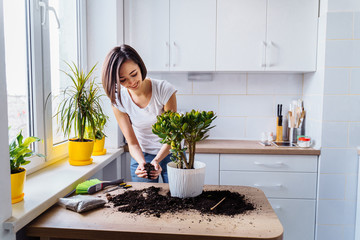 Beautiful smiling girl with braces replanting a indoor flower. Wearing a white T-shirt and blue...