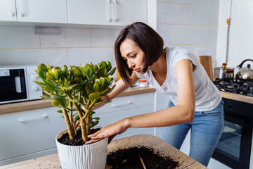 Beautiful smiling girl with braces replanting a indoor flower. Wearing a white T-shirt and blue...