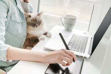 A young woman is working on a laptop at home near the window and her cat is sitting on her lap