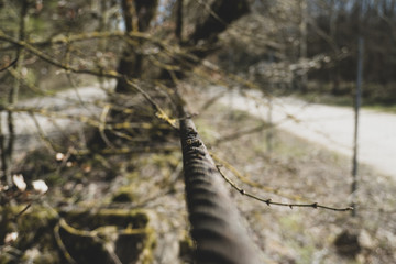 Spaziergang