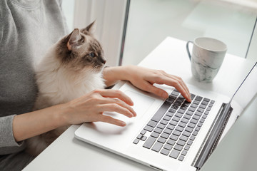 A young woman is working on a laptop at home near the window and her cat is sitting on her lap © annmirren