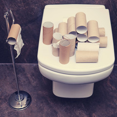 Finished toilet paper on a white toilet bowl, close-up. Concept of panic in the crisis coronavirus...