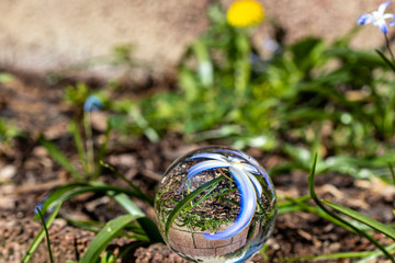 Crystal ball with blue hyacinth blossom on moss covered stone