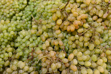 Fresh Fruit Brunch yellow Grapes on Shelf in Fresh Fruit market, russia, Travel Background